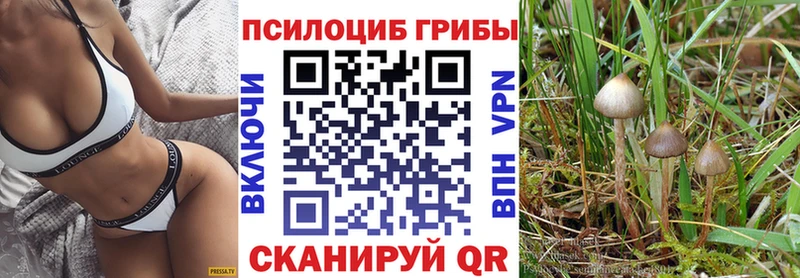 где купить наркотик  omg tor  Псилоцибиновые грибы Psilocybe  Павловский Посад 
